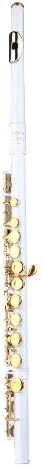 Glory Closed Hole C Flute With Case, Tuning Rod and Cloth and Gloves White/Laquer