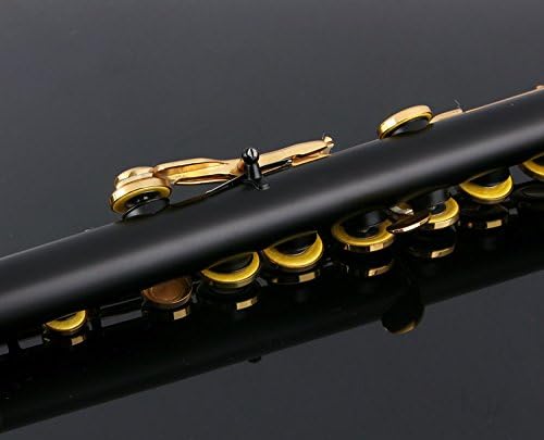 Glory Closed Hole C Flute With Case, Tuning Rod and Cloth and Gloves black/Laquer