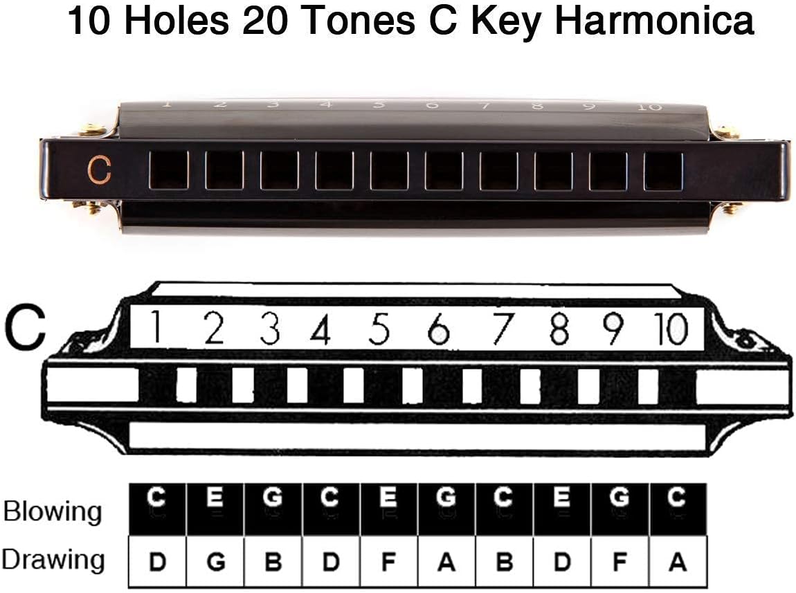 EastRock Blues Harmonica Mouth Organ 10 Hole C Key with Case, Diatonic Harmonica for Professional Player, Beginner, Students gifts, Adult, Friends, Gift Blue