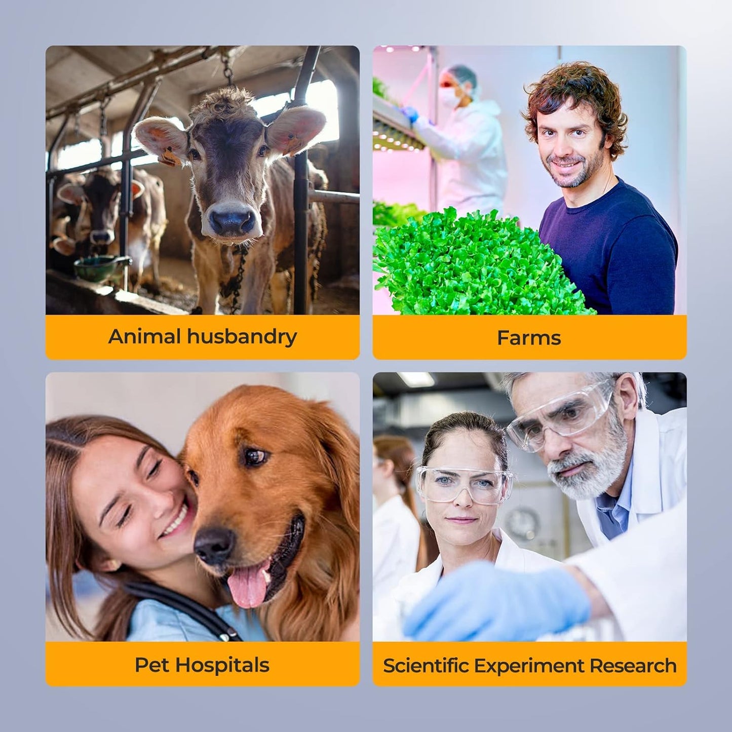 Constant Temperature Lab Monocular Compound Microscope 40X-2500X Magnification with 7" LCD Screen 5MP E-Eyepiece, Adjustable Thermostat Mechanical Stage for Husbandry, Pet Hospitals,Farms