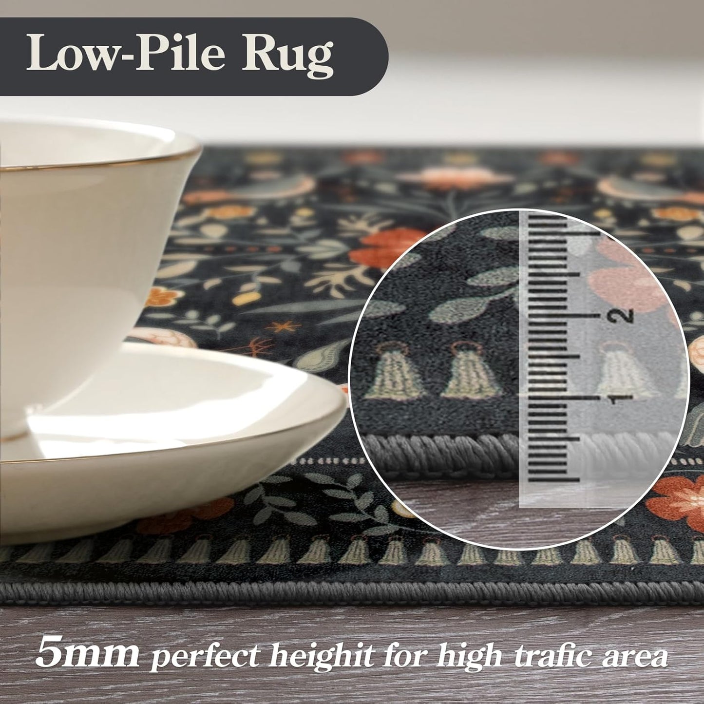 Moynesa Boho Bird 5x7 Area Rugs for Living Room, Black Floral Living Room Rug 5x7 Washable Low-Pile Bedroom Rug Non Slip, Vintage Soft Jungle Animal Floor Carpet for Nursery Playroom