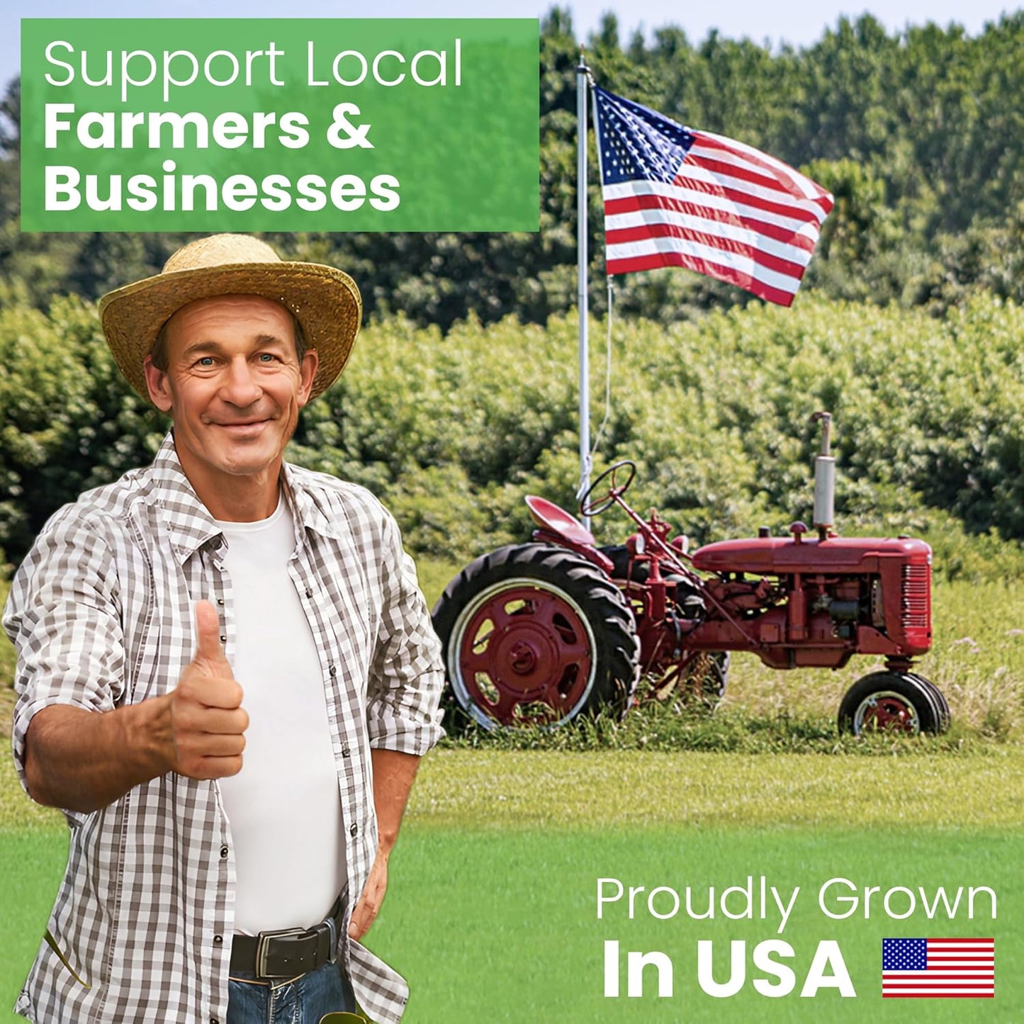 Bean Products 20" x 30" Queen Bed Pillow for Sleeping β Organic Millet Fill with Organic Cotton Fabric, Soft Head Pillow β Eco-Friendly, Breathable, and Durable Sleep Aid, Made in The USA