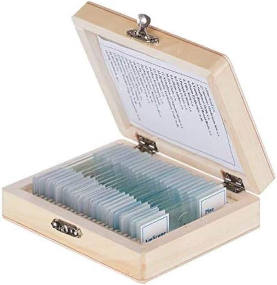 AmScope PS25W Prepared Microscope Slide Set for Basic Biological Science Education, 25 Slides, Includes Fitted Wooden Case