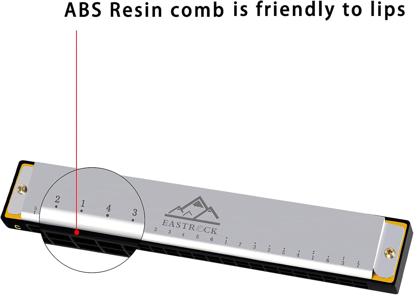 EastRock Blues Harmonica 24 Hole C Key with Case, Mouth Organ Harp, Diatonic Harmonica for Beginner, Adult, Professional, Students, Friends, Gifts