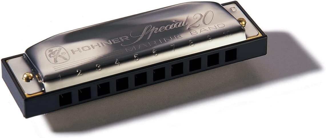 Hohner Special 20 Harmonica - Key of F Sharp Bundle with Case, Pouch, Online Manual, and Austin Bazaar Polishing Cloth