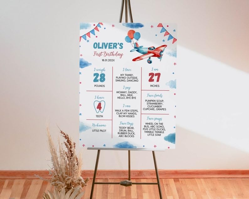 Personalized Airplane Birthday Milestone Poster, Airplane 1St Birthday Milestone Sign, Time Flies Birthday Chalkboard, Design 017