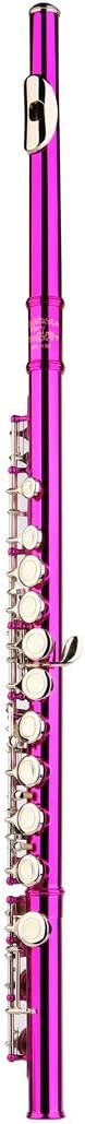 Glory Closed Hole C Flute With Case, Tuning Rod and Cloth and Gloves pink