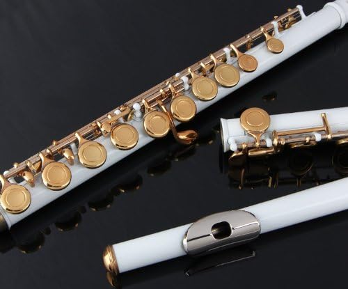 Glory Closed Hole C Flute With Case, Tuning Rod and Cloth and Gloves White/Laquer