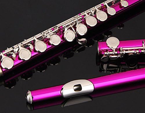 Glory Closed Hole C Flute With Case, Tuning Rod and Cloth and Gloves pink