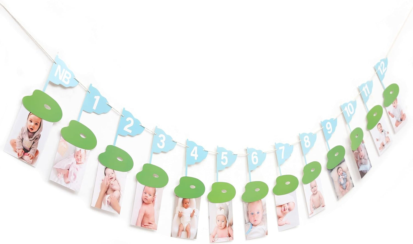Golf 12 Monthly Photo Banner - Hole In One Monthly Photo Banner,Newborn To 12 Months Banner,Baby's First Year Golf Themed Birthday(blue)