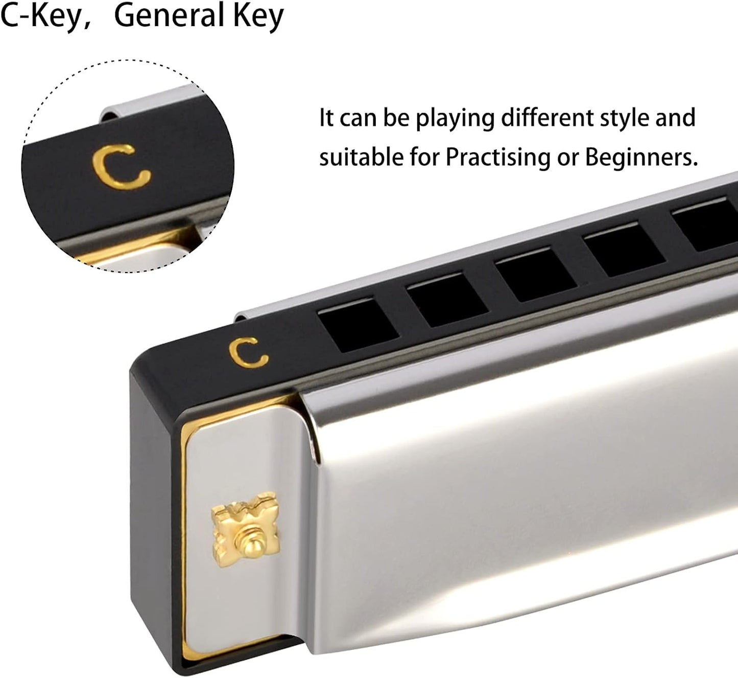 EastRock Blues Harmonica Mouth Organ Harp 10 Hole C Key with Case, Diatonic Harmonica for Beginner, Professional Player, Students gifts, Adult, Friends, Gift Silver