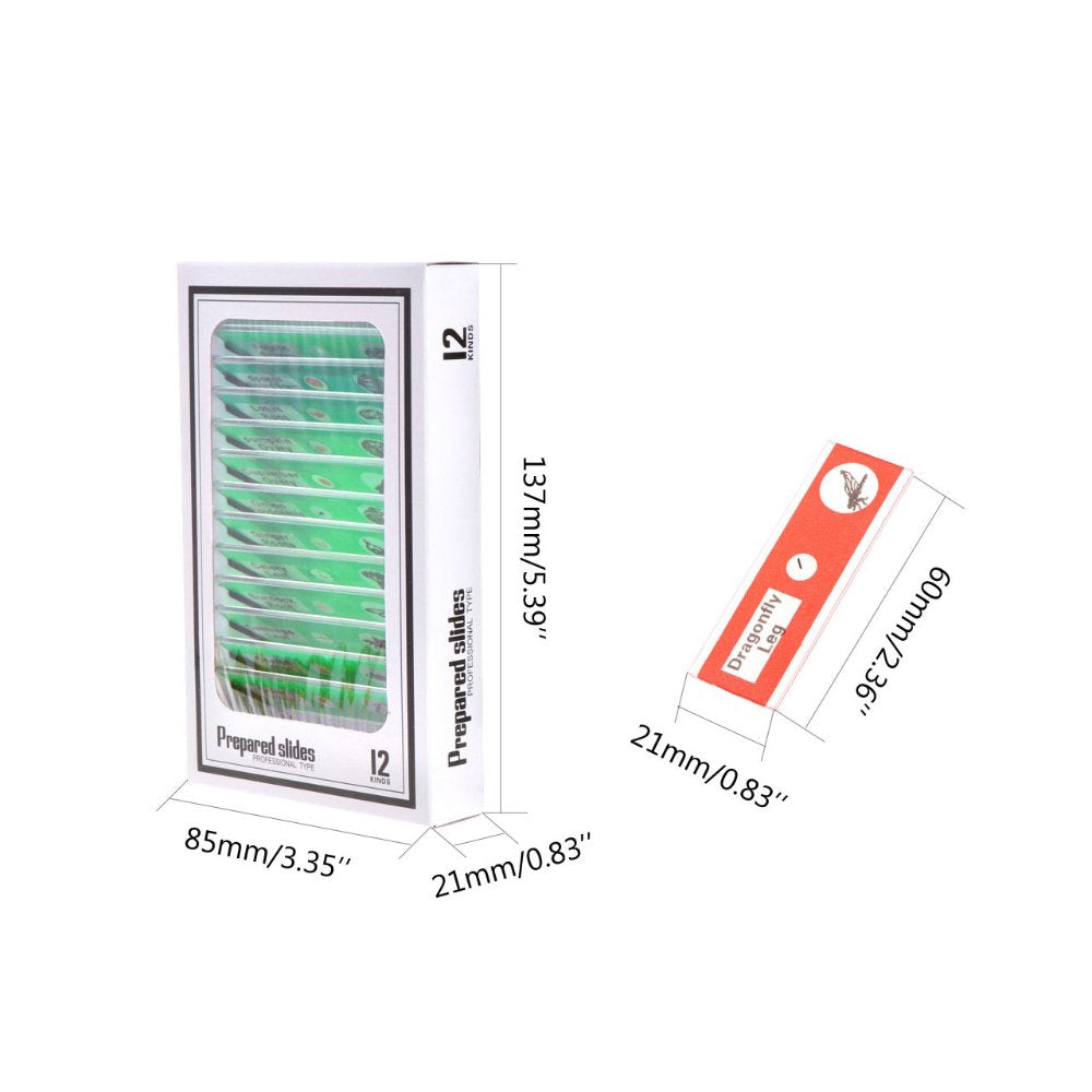 60Pcs Prepared Microscope Slides Specimen Animals Insects Plants Flowers Sample Biological Specimen, Stereo Microscope Slide for Kids Children Students Enlighten Education