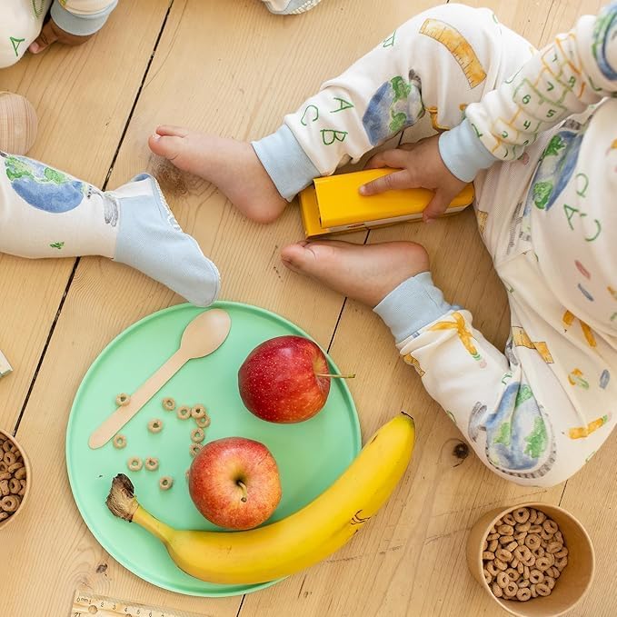 Burt's Bees Baby Boys' 2-Piece Long Sleeve Tee and Pants Organic Cotton Pajama Set