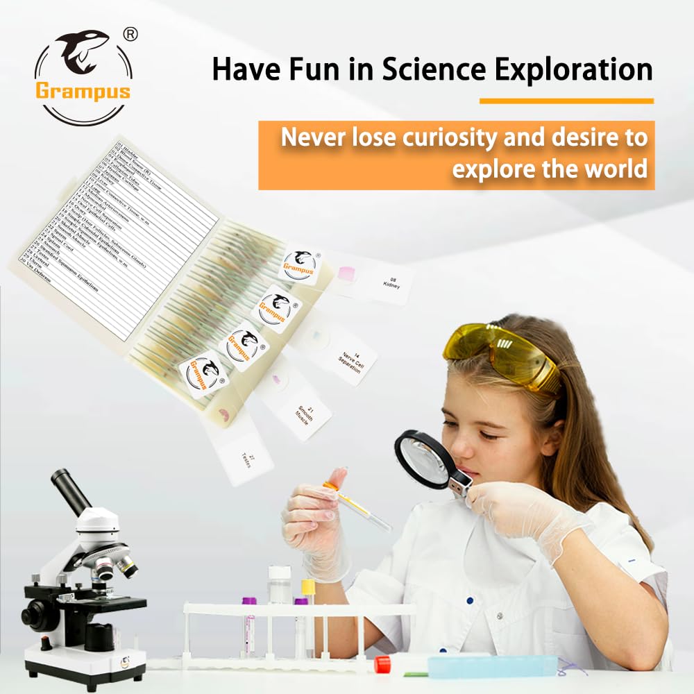 30 Prepared Microscope Slides with Specimens for Kids Students - Histology, for Biological Science Lab, Children's Science Education, Homeschooling Use