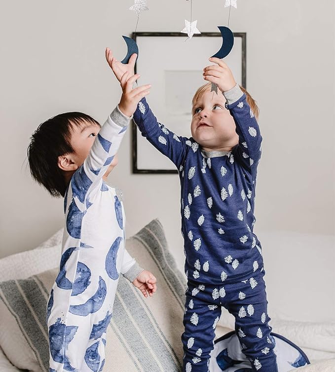 Burt's Bees Baby Boys' 2-Piece Long Sleeve Tee and Pants Organic Cotton Pajama Set