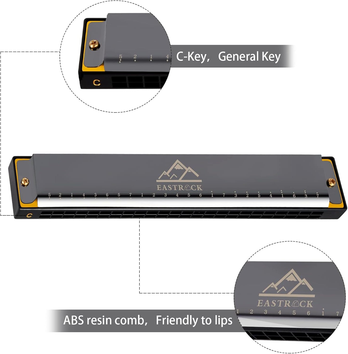 EastRock Blues Harmonica 24 Hole C Key with Case, Mouth Organ Harp, Diatonic Harmonica for Beginner, Adult, Kids, Professional, Students, Friends, Gifts
