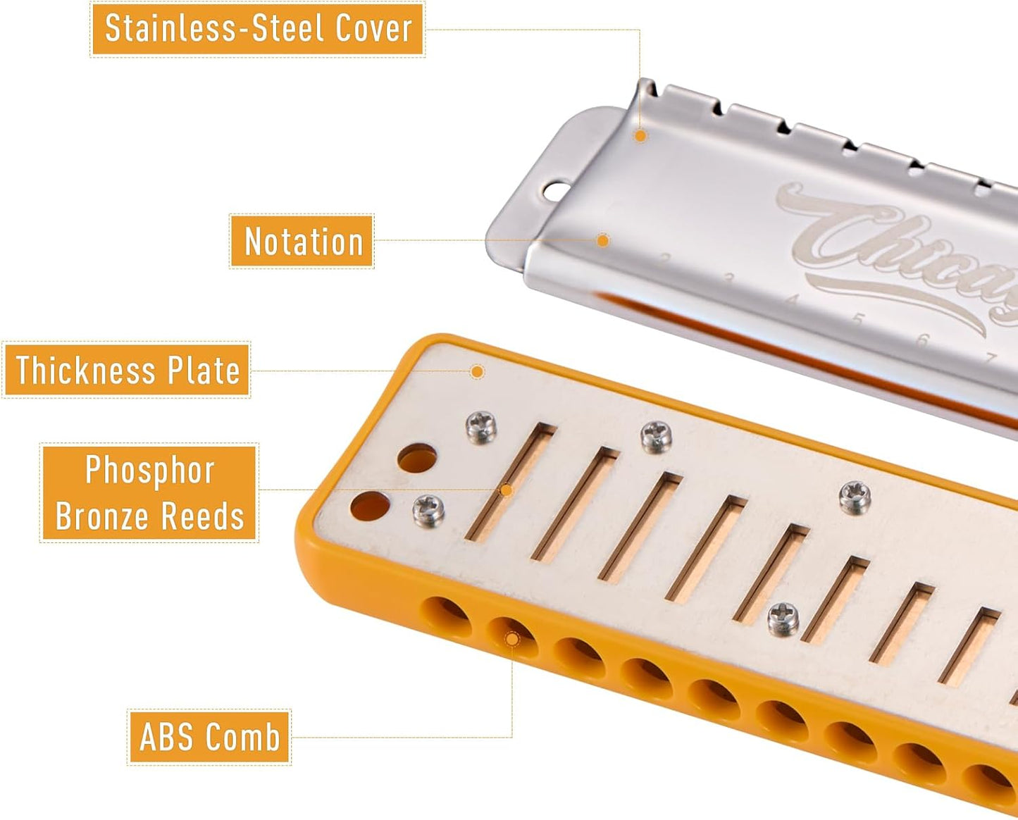 Harmonica JDR Blues key of Bb 10 Holes 20 Tones Harps Armonica for Adults Kids Professional Beginners Mini Mouth Organ with Case Chicago