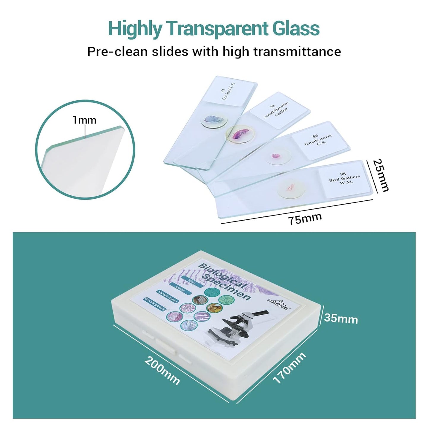100 Microscope Slides with Specimens for Kids and Adults, Prepared Microscope Slides with Plants Animals Insects for Students Homeschool Edu