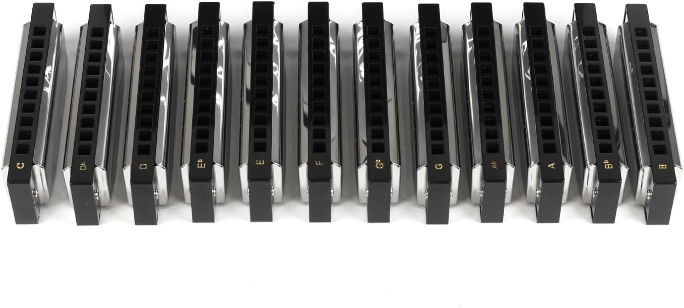 Swan Harmonica 10 Hole Blues Harmonica Set 7/12 Tone Set Suit Gift Box Mouth Organ Harmonica for Beginners Adluts (12 tone set)