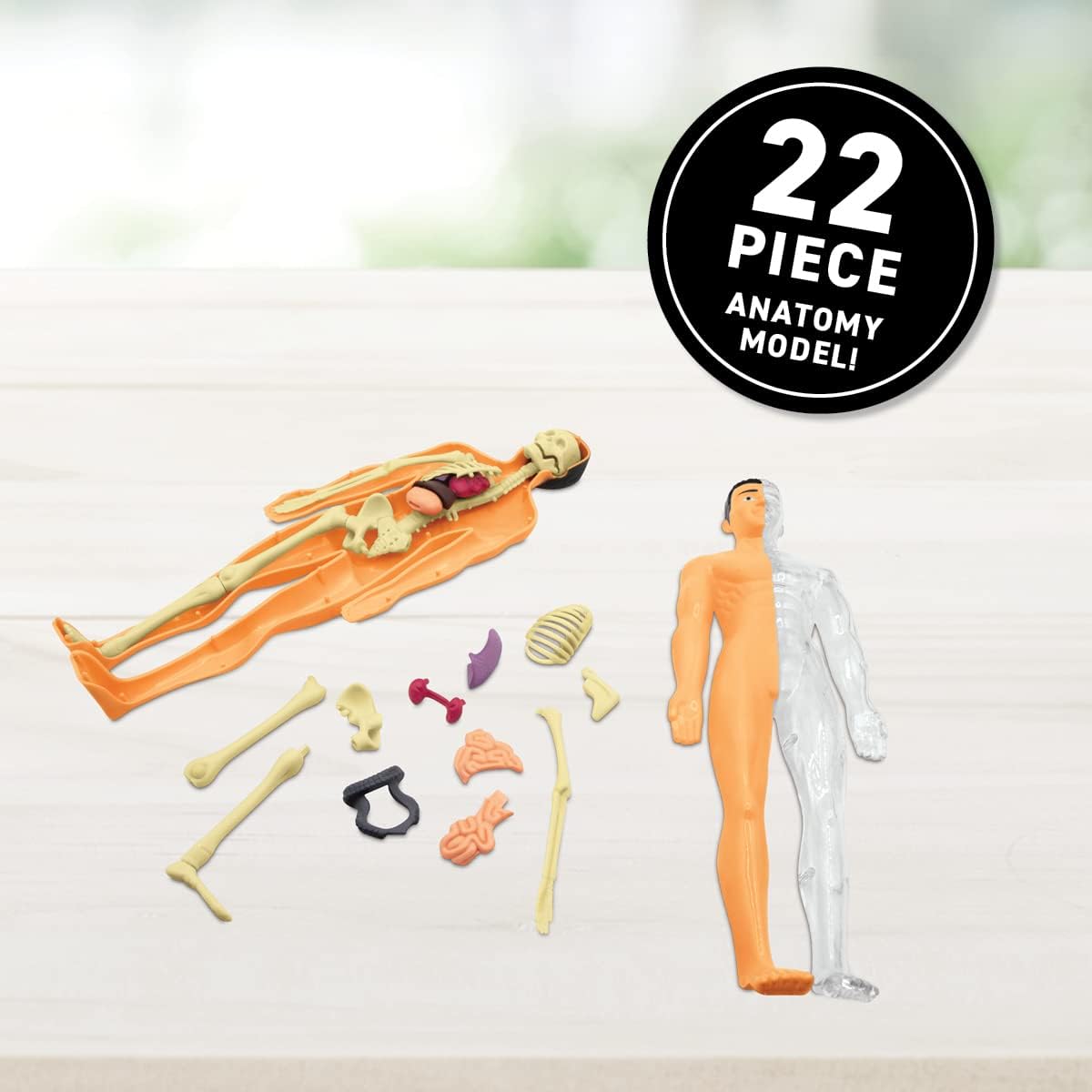 Virtual Reality Human Body Gift Box- Illustrated Interactive VR Book and STEM Learning Activity Set - for Ages 8 and Up