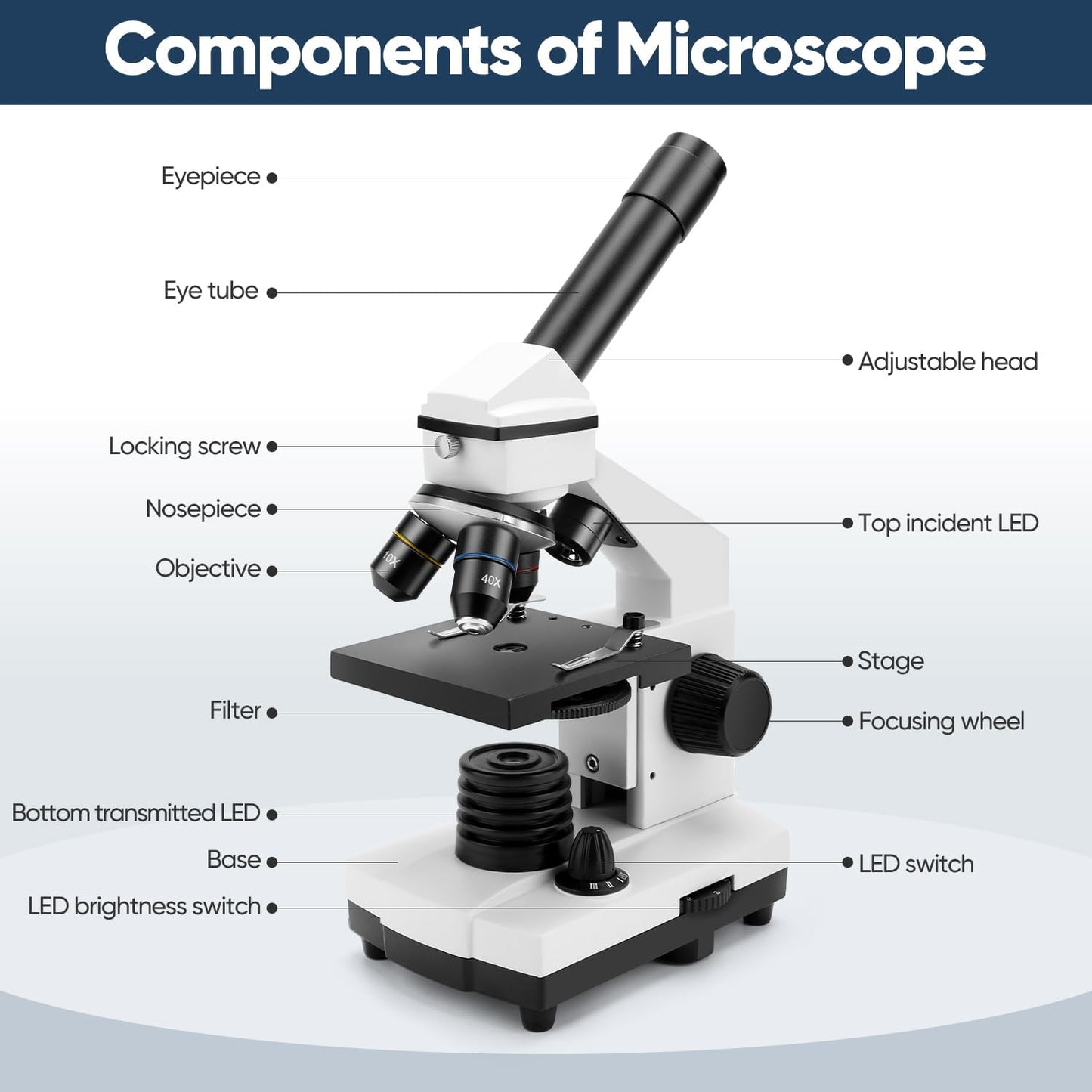 Microscope for Adults Kids, Dcorn 100X-2000X Powerful Biological Microscopes for School, Home, and Lab Use, Includes Microscope Slides Set and Phone Adapter.