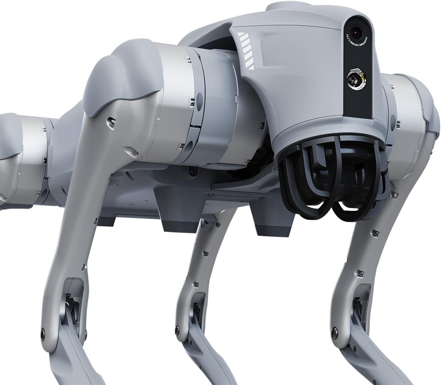 Unitree Go2 Robot Dog Quadruped Robotics for Adults Embodied AI (Go2 Pro)