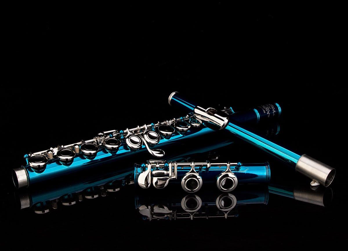 Glory Closed Hole C Flute With Case, Tuning Rod and Cloth, Gloves,Sea Blue