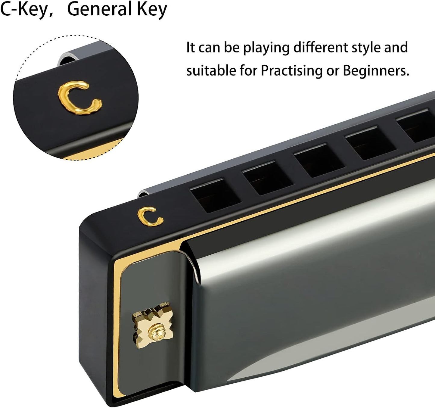 EastRock Blues Harmonica Mouth Organ 10 Hole C Key with Case, Diatonic Harmonica for Professional Player, Beginner, Students gifts, Adult, Friends, Gift Black