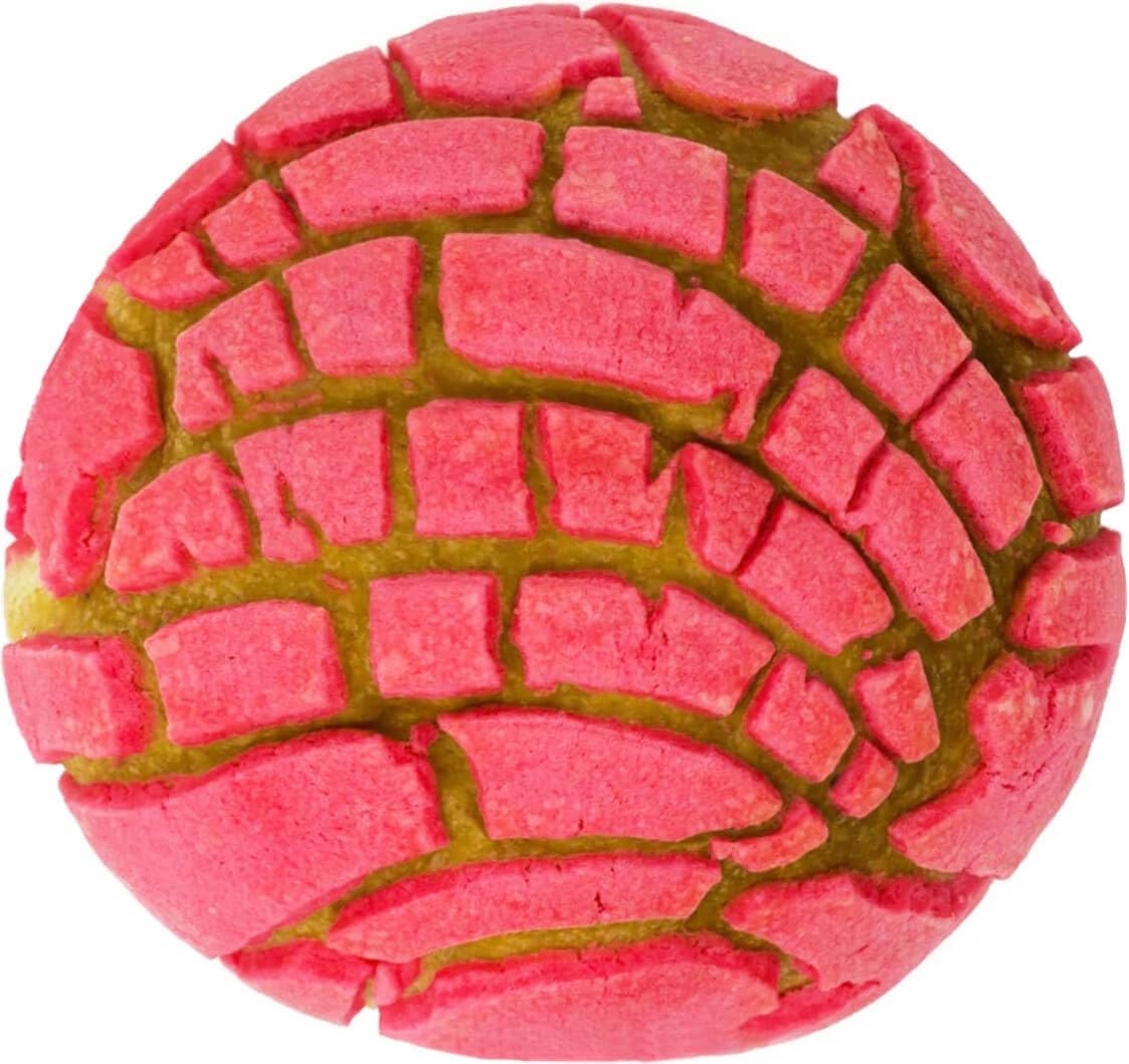 Concha Blanket White Elephant Gifts for Kids Stuff Useful Adults Teenagers Throw Blankets Wrap Boy Girl Party Novelty Gag Pets Soft Fleece Sweet Shell Bread 61in