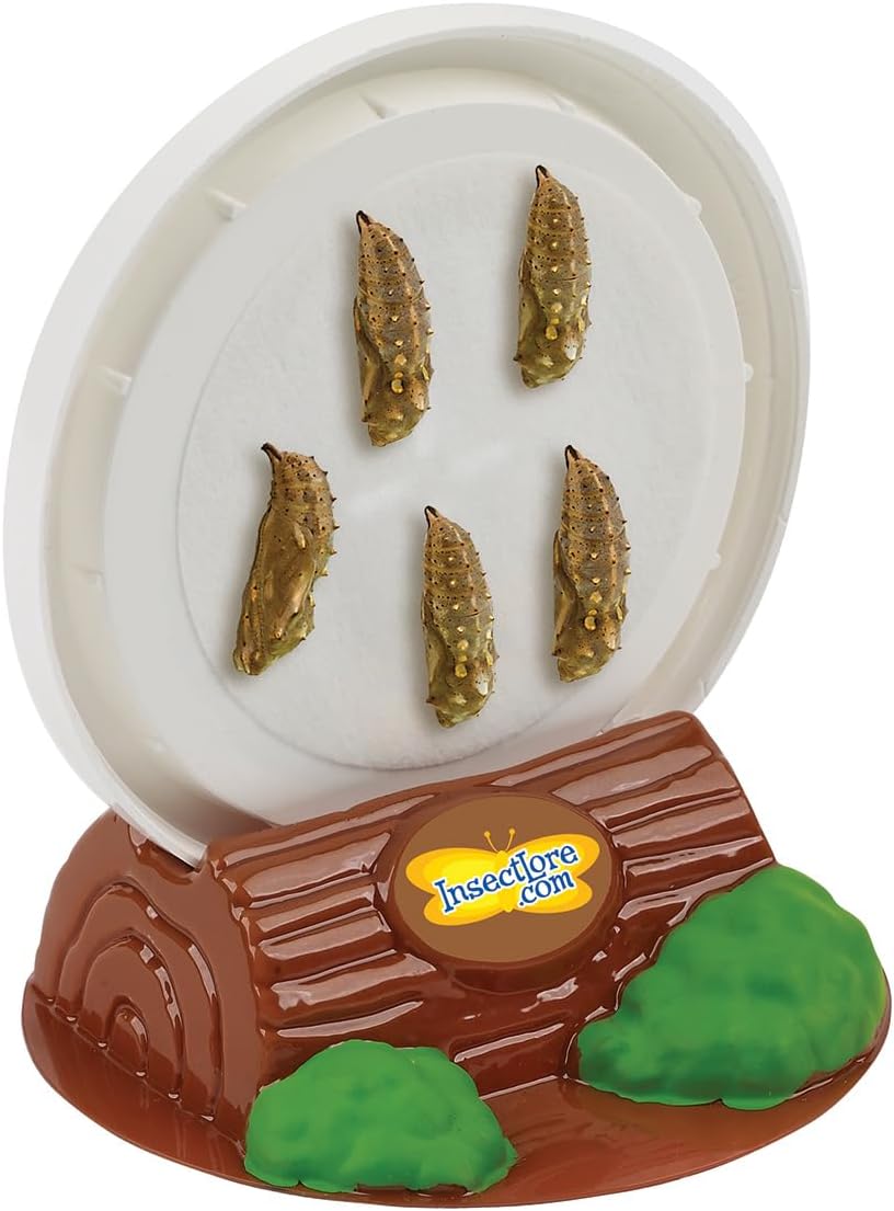 Insect Lore Butterfly Garden with Live Cup of Caterpillars | English and Spanish STEM Activity Journals | 5 Painted Lady Butterfly Baby Caterpillars and Mesh Habitat