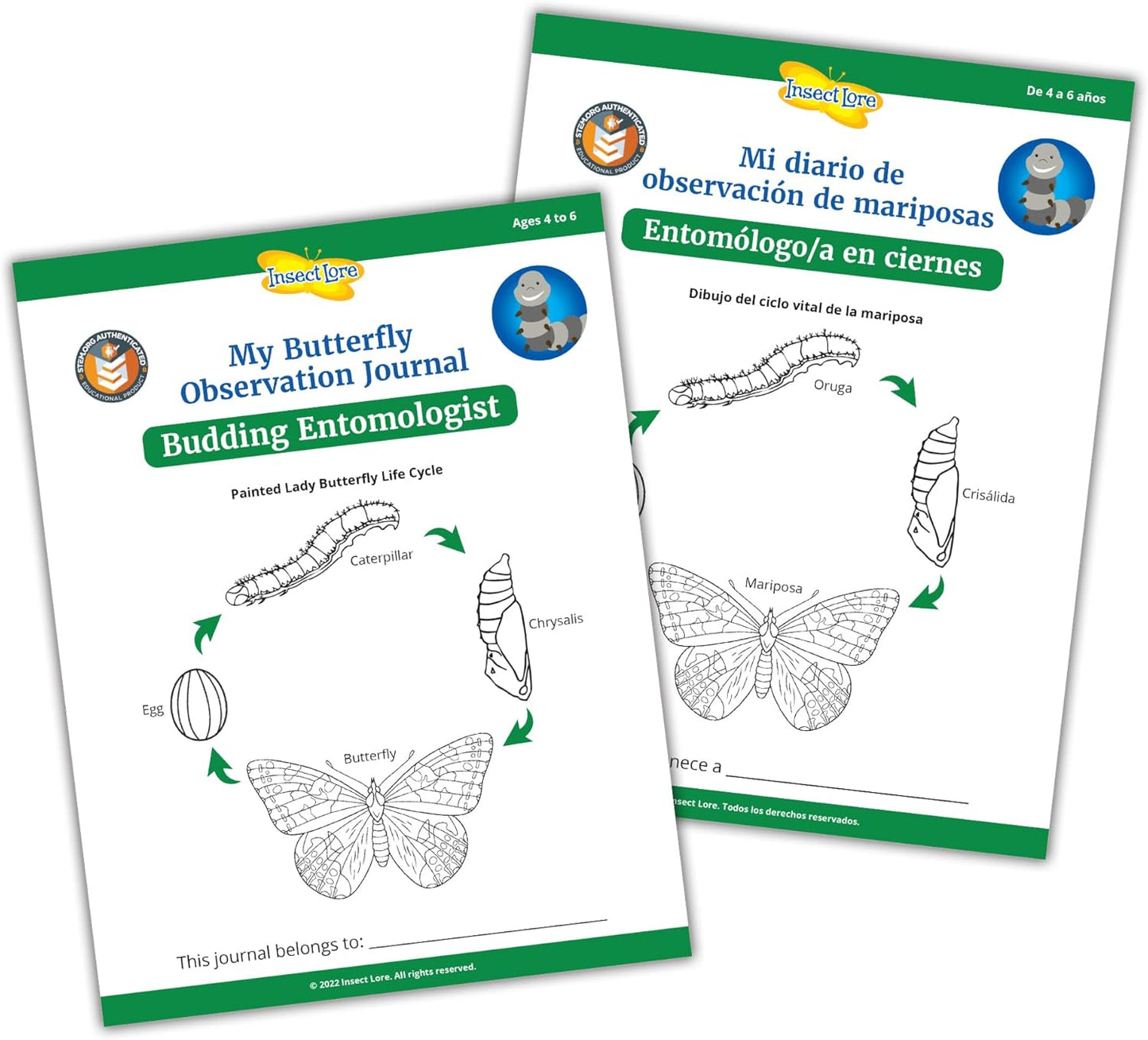 Insect Lore Butterfly Garden with Two Cups of Live Caterpillars, Life Cycle Figurines, English and Spanish Butterfly STEM Activity Journals | 10 Painted Lady Butterfly Baby Caterpillars