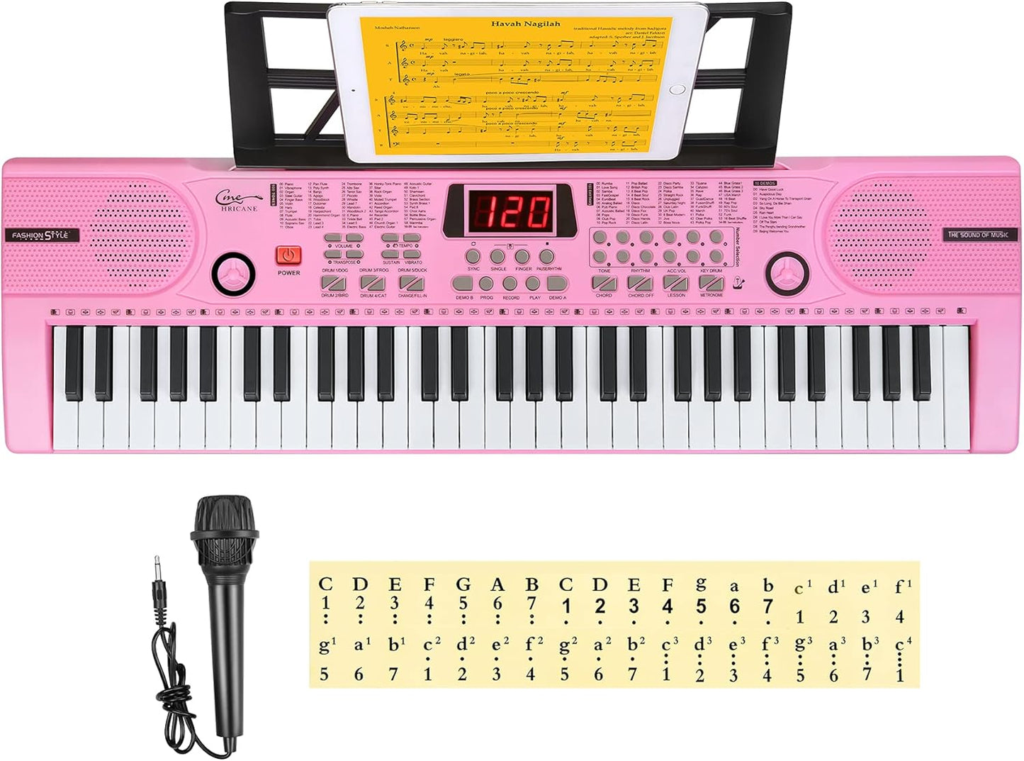 Hricane Piano Keyboard, 61 Keys Beginner Electronic Keyboard Portable Digital Music Keyboard, Early Education Music Instrument with Microphone & Music Sheet Stand