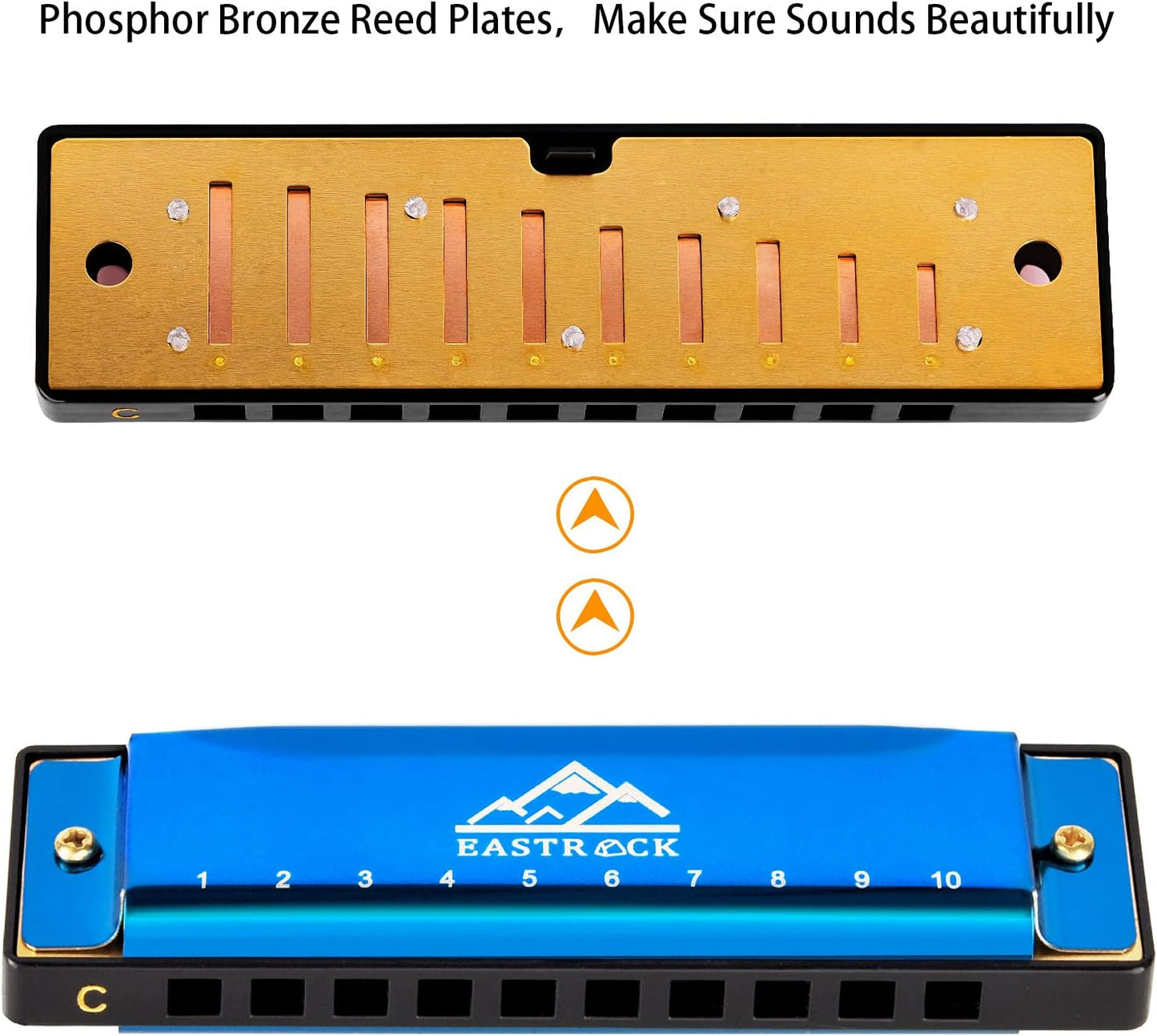 EastRock Blues Harmonica Mouth Organ 10 Hole C Key with Case, Diatonic Harmonica for Professional Player, Beginner, Students gifts, Adult, Friends, Gift Blue