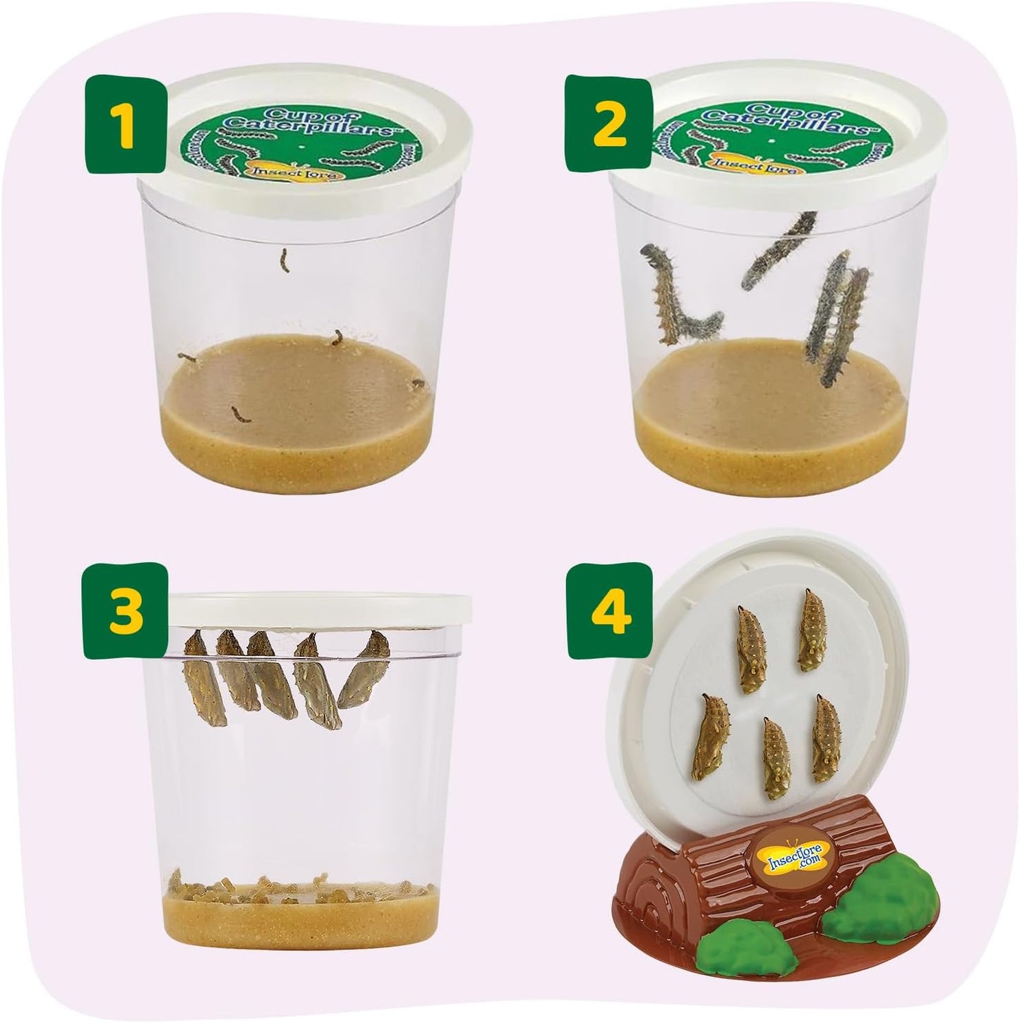 Insect Lore Butterfly Garden Kit - 5 Live Baby Caterpillars, Habitat, Feeder, Chrys-A-Lid Log, STEM Journal Included - Grow, Raise and Release Painted Lady Butterflies