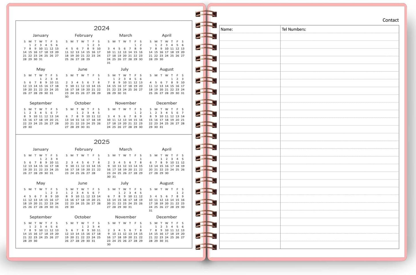 Undated Daily Planner - Undated Planner with Hourly Schedules, Action Items and Follow-up, A4 Daily Organizer Notebook to Increase Productivity, Appointment Book for Time Management, 8.5 × 11 Inch
