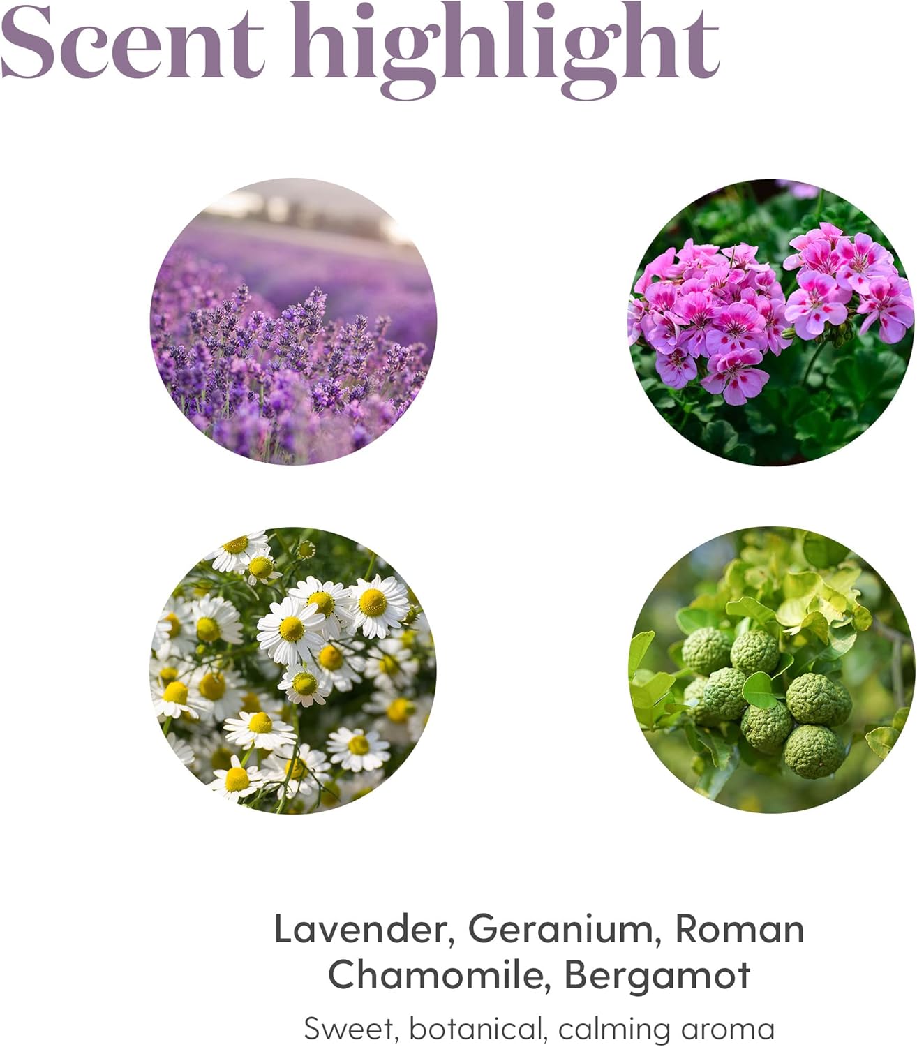 KidScents SleepyIze Essential Oils Blend by Young Living, 5 Milliliters, Topical and Aromatic