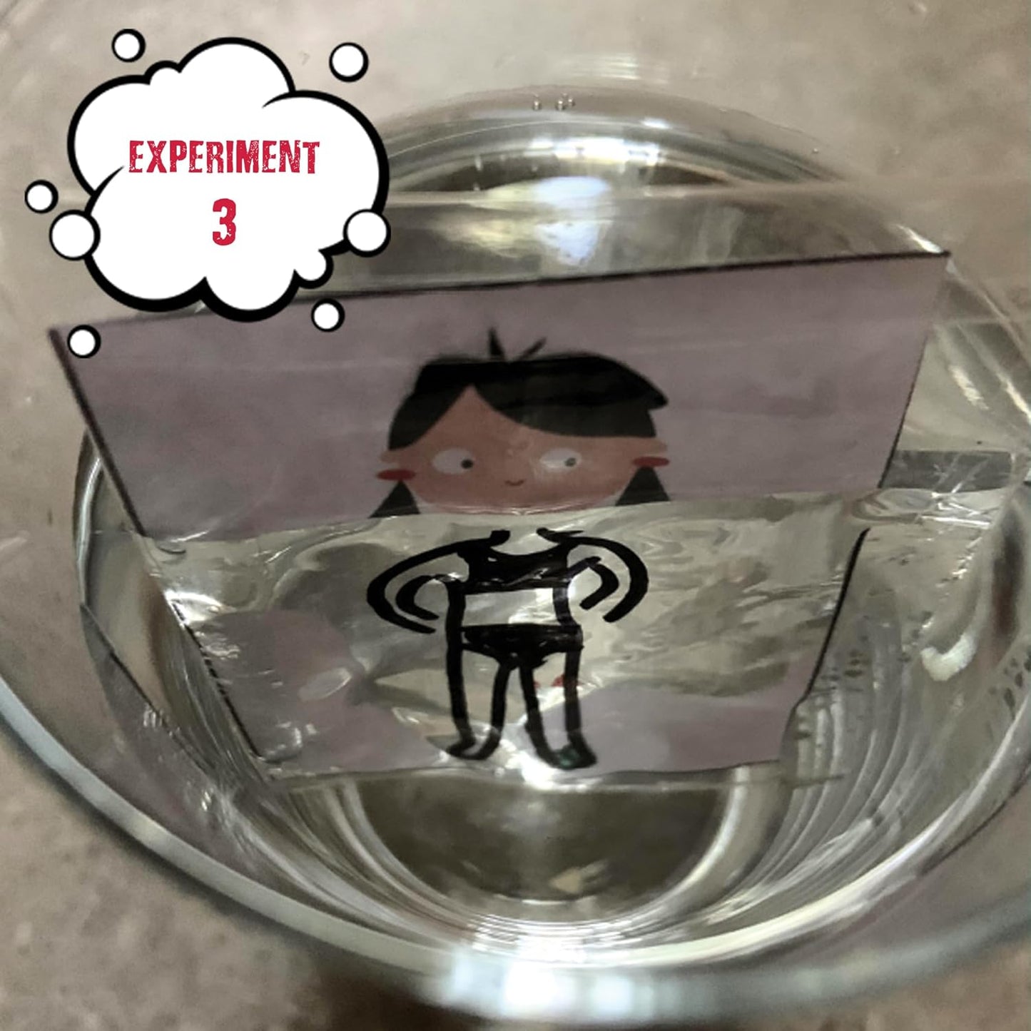 Einstein’s Magic Lab Science Kit for Kids. STEM for Boys & Girls Aged 8 and Above. 12 Exciting Experiments Inside. Detailed Picture Guide Included.