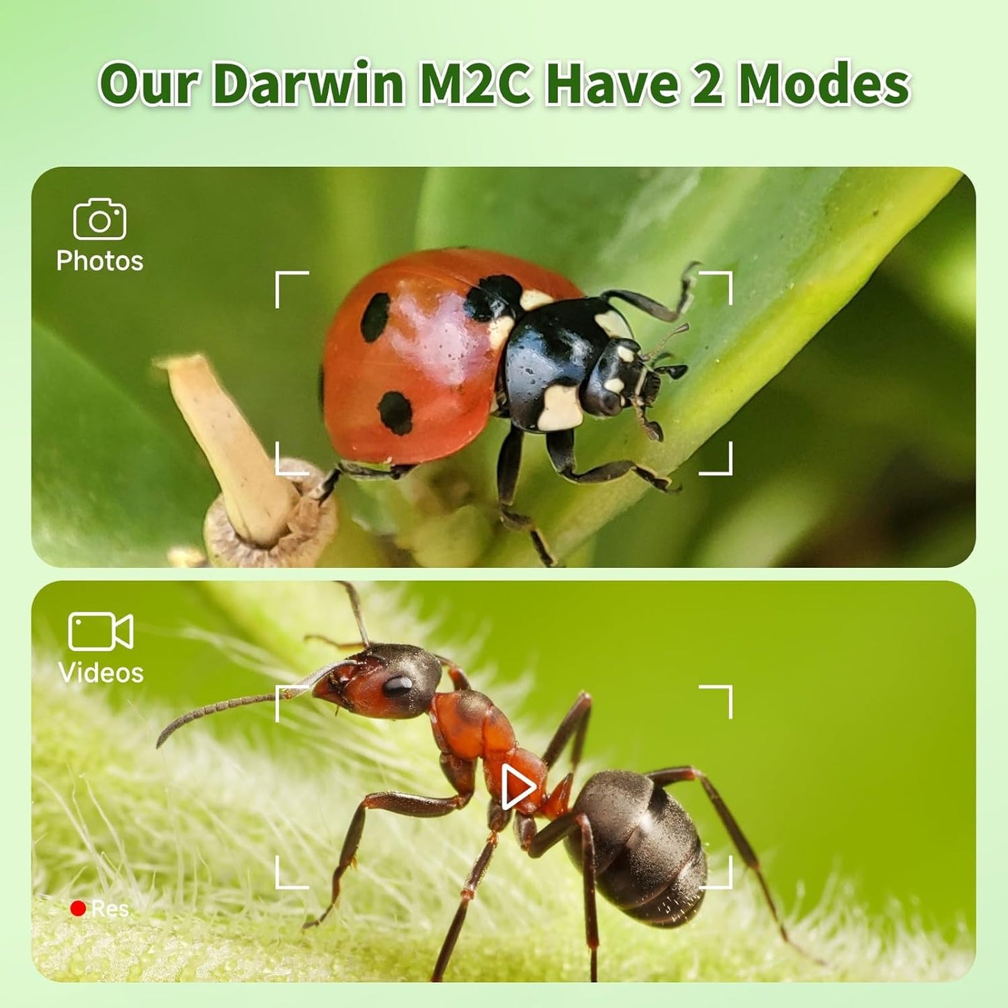 Digital Microscope with 4 Inch Screen, 1080P HD 1600X Kids Portable Handheld Microscope with 8G Card for Scientific Experiment