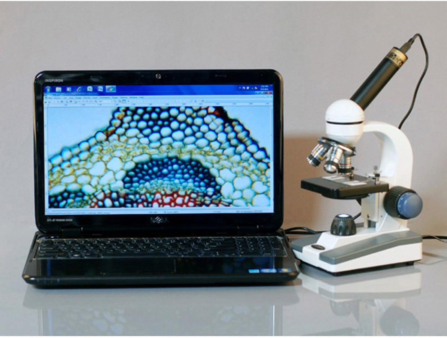 AmScope M150C-SP14 40X-1000X Portable Student Microscope with Slide Preparation Kit