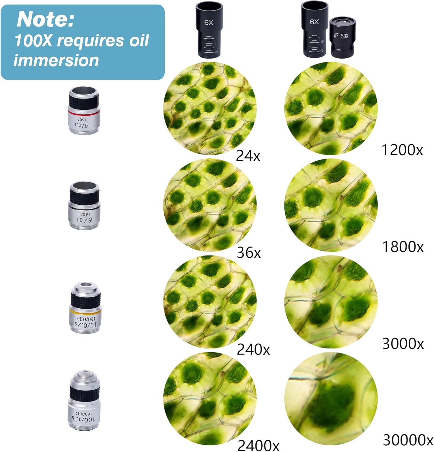 SELFIE CAT Binocular Compound Microscope 200X-5000X Magnification Microscope for Adults & Kids & Students, Binocular Laboratory Microscope with Wide Field, Microscopes Eyepieces Kit for School & Home