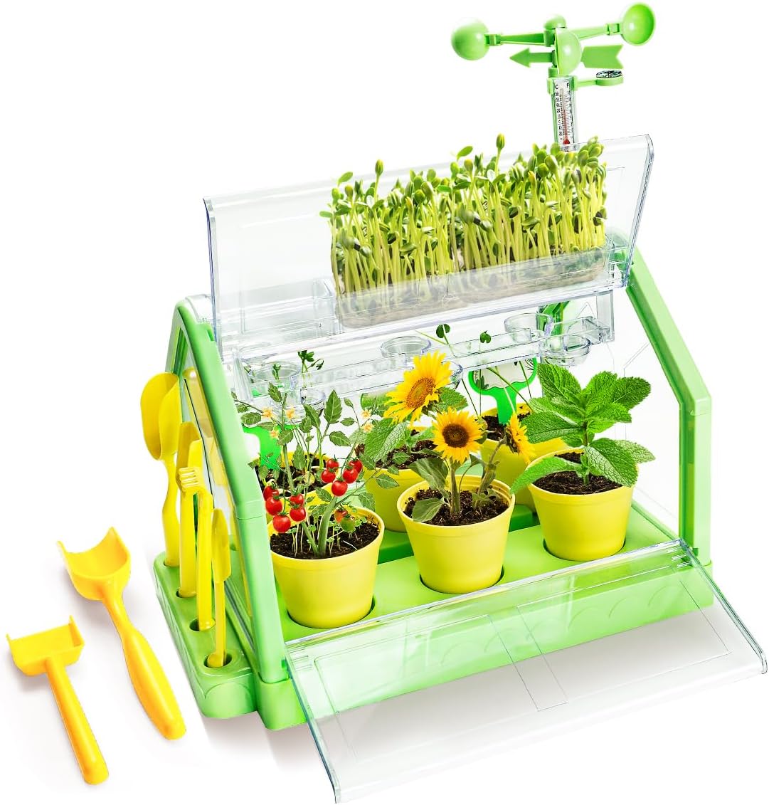 Kids Plant Growing Kit - Kids Greenhouse & Flower Growing Kit with Hydroponic Growing System, Thermometer,Wind Vane & Tools, Educational STEM Plant Growing Set