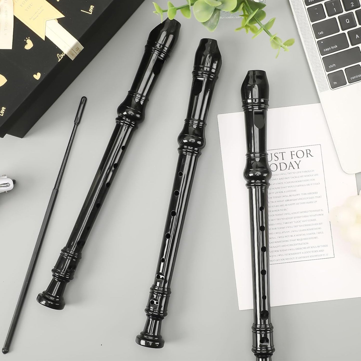 SANNIX 4 Pack Recorder Instrument, 8 Hole German Style Soprano Recorder for Beginner, Recorder With Cleaning Rod, School Student Music Instrument (Black)