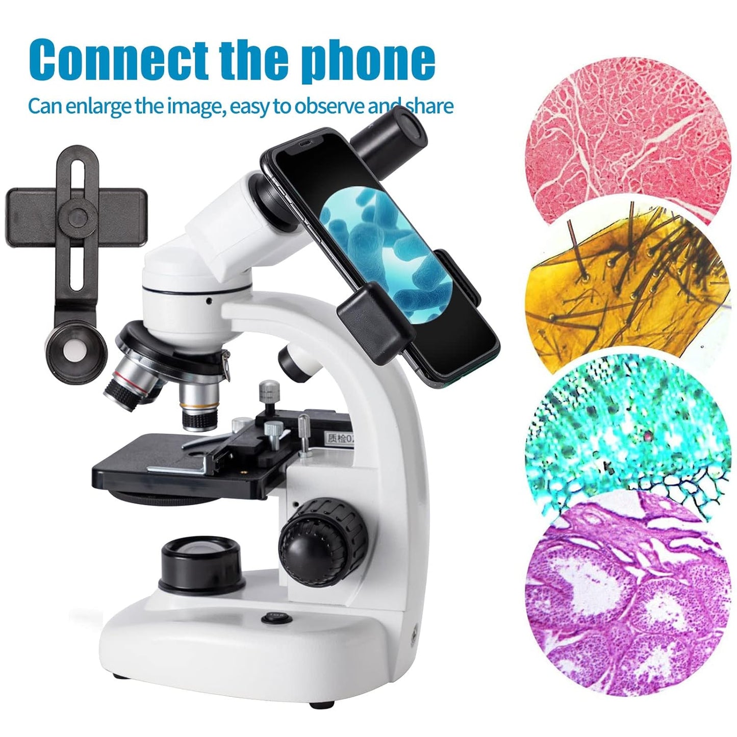 Compound Binocular Microscope, WF10x and WF25x Eyepieces,40X-2000X Magnification, LED Illumination Two-Layer Mechanical Stage…