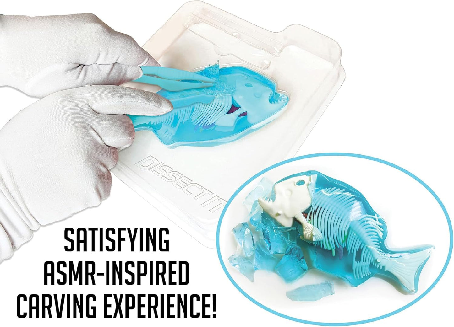 Dissect-It Simulated Synthetic Lab Dissection Toy, STEM Projects for Kids, Animal Science, Biology, Anatomy Home Learning Kit, Piranha