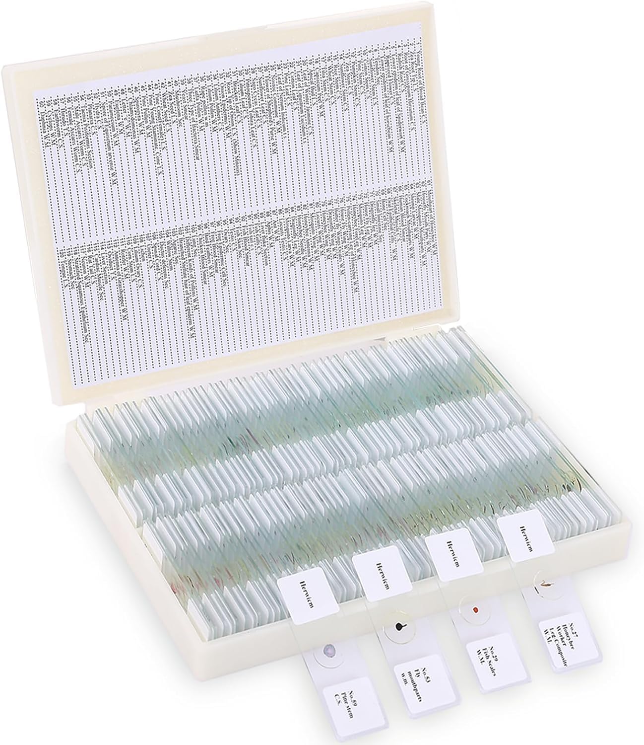 120-Pcs Microscope Slides with Specimens,Pre-Made Glass Slides with Specimens,Educational Microscope Slides and Covers for Young Scientists,Perfect for Biology Class and Experiments