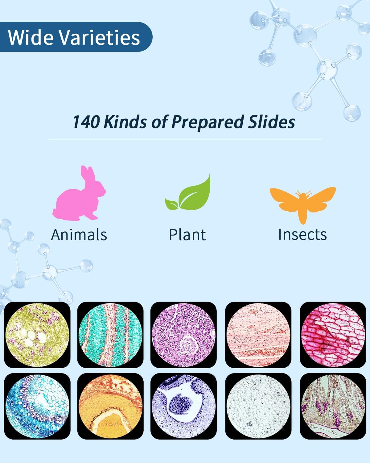 140-Pcs Microscope Slides with Specimens,Pre-Made Glass Slides with Specimens,Educational Microscope Slides and Covers for Young Scientists,Perfect for Biology Class and Experiments