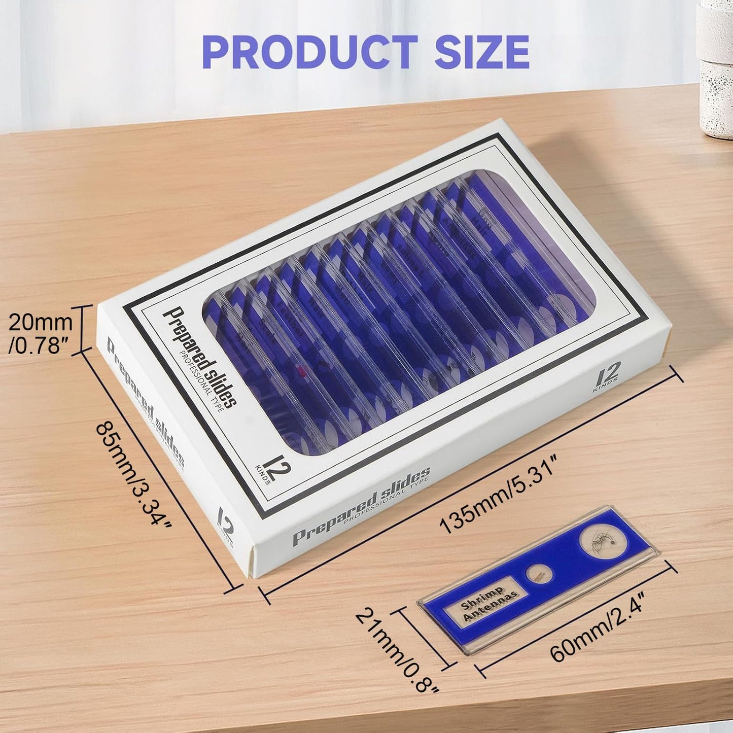 48Pcs Prepared Microscope Slides Specimen Animals Plants Flowers Sample Biological Specimen, Stereo Microscope Slide for Kids Children Students Enlighten Education