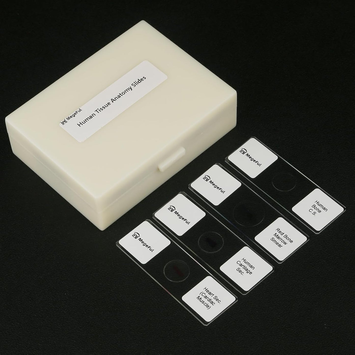 Human Tissue Anatomy Prepared Microscope Slides, 30PCS University Standard Microscope Slides Survey The Major Tissues and Organs of Human Body Dedicated to Histology