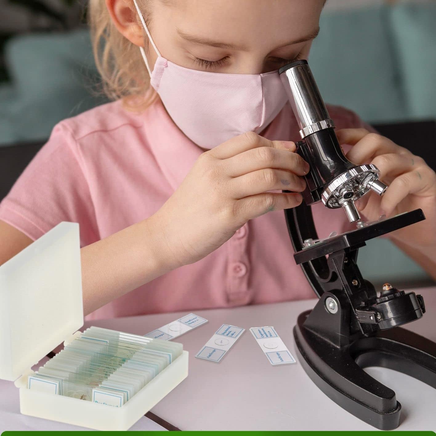 AmScope 25pc Prepared Glass Microscope Slides in Plastic Case with Plant, Fungus, Insect and Mammal Specimens