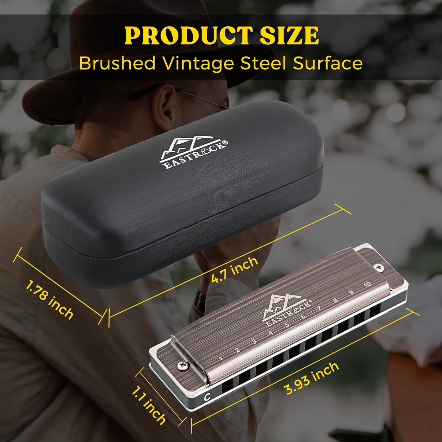 EastRock Harmonica, Blues Harmonica Mouth Organ 10 Hole C Key with Case, Diatonic Harmonica for Professional Player, Beginner, Students, Adult, Friends, Gifts（Brushed Metal）